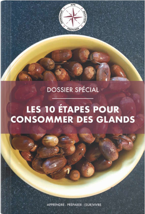 Les 10 étapes pour consommer des glands
